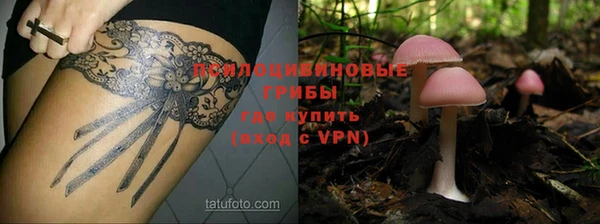 герыч Медногорск
