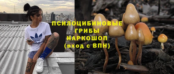 дмт Медвежьегорск